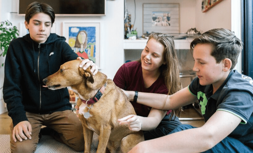 Three children sitting with a dog