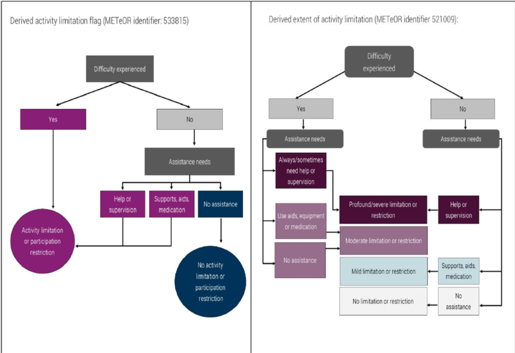 Figure 5: Mapping responses from abridged disability set to METeOR data items