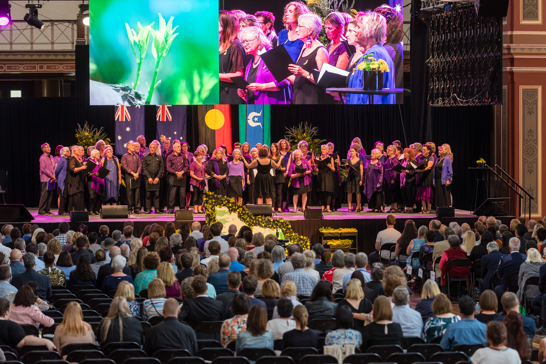 Bushfire Commemoration 2019 - The Chocolate Lilies