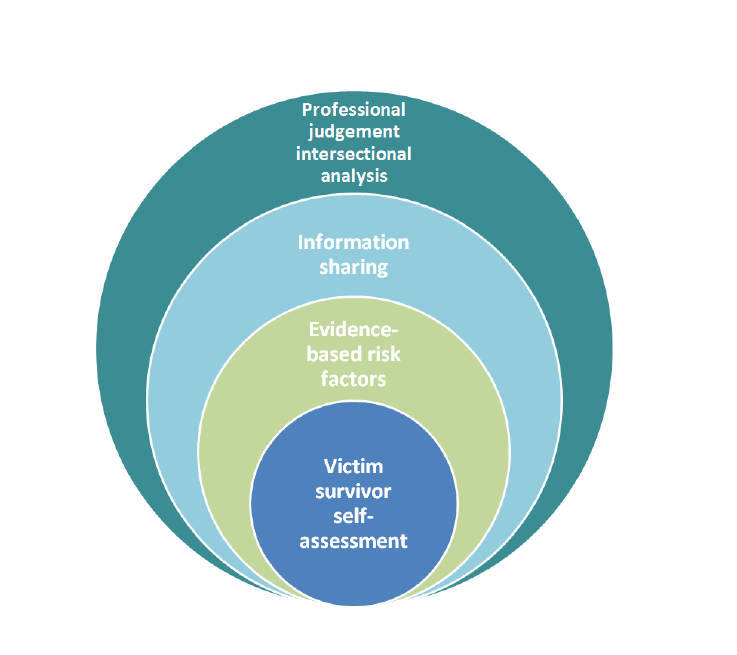 The image shows that the level or seriousness of risk is determined by professionals who undertake risk assessment through structured professional judgement. This includes 4 steps: •	a victim’s self-assessed level of risk, safety and fear •	assessment against evidence-based risk factors •	information sharing to inform assessment •	professional judgement, using an intersectional analysis lens.