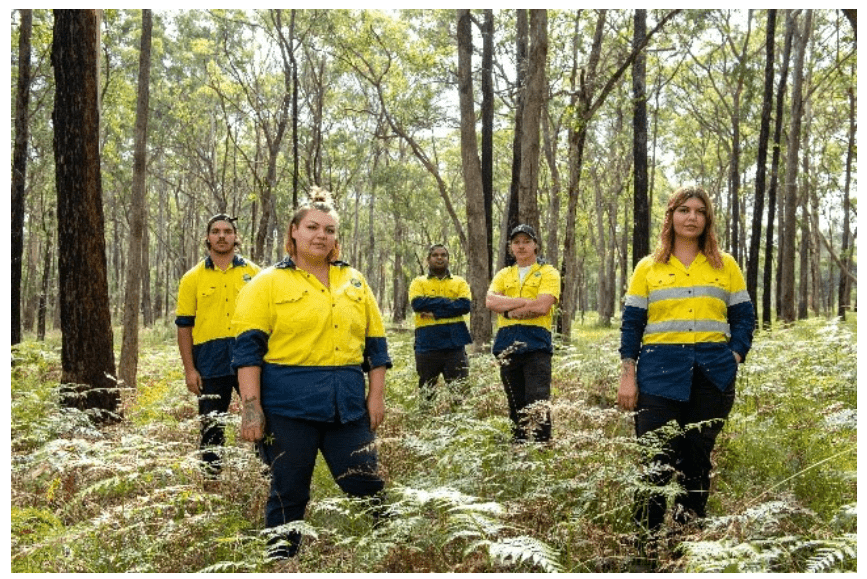 Bushfire recovery crew standing in the bush with high vis shirts on and tall trees in the background, ferns in the for ground