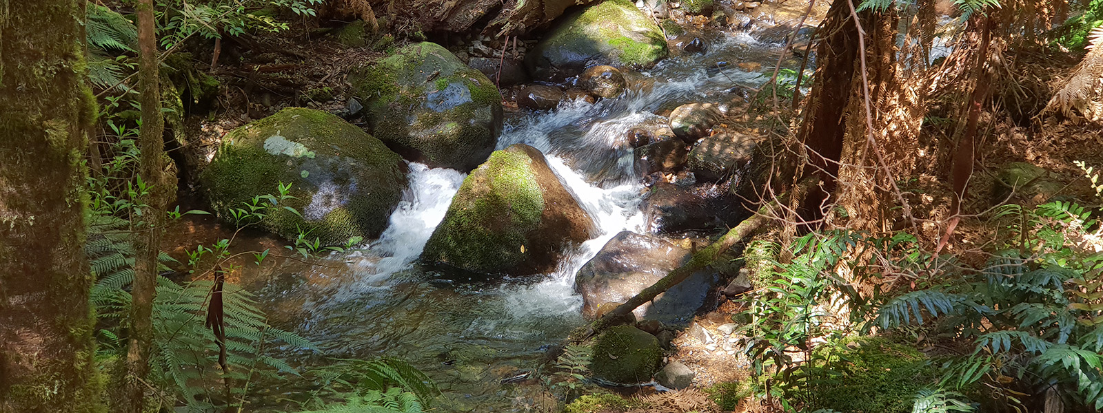 Image of a running brook