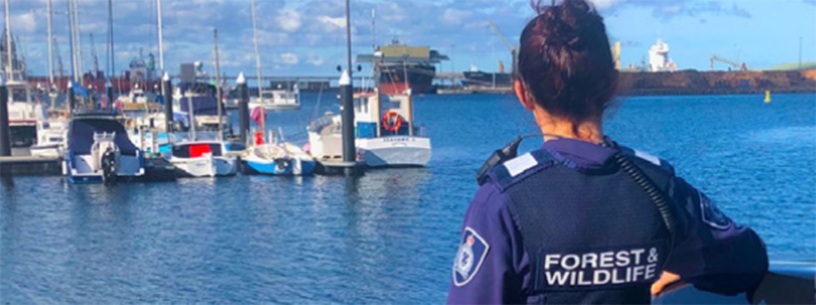 Image of forest and wildlife officer looking out over a marina