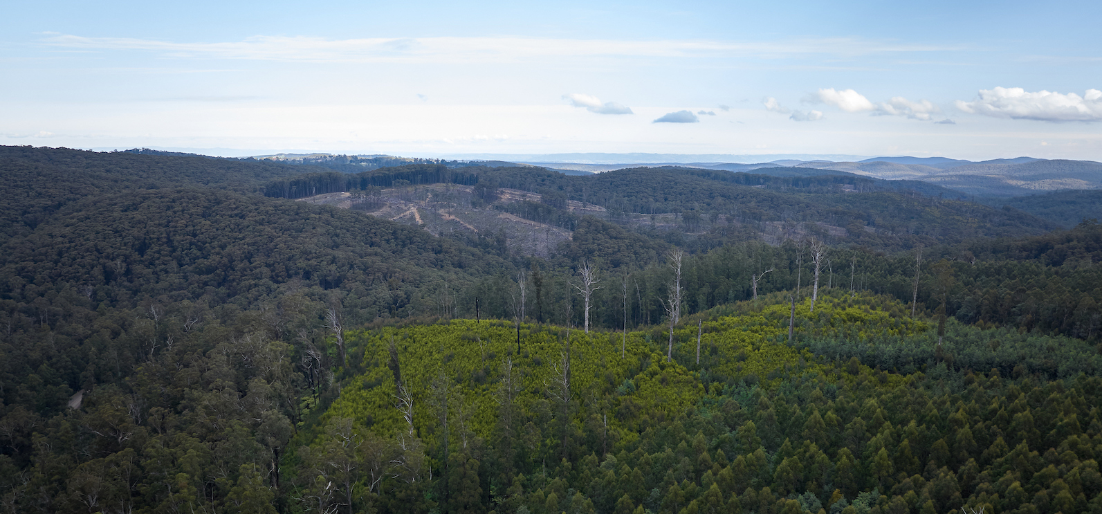 Image of a landscape