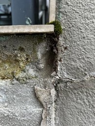 Image of a building defect