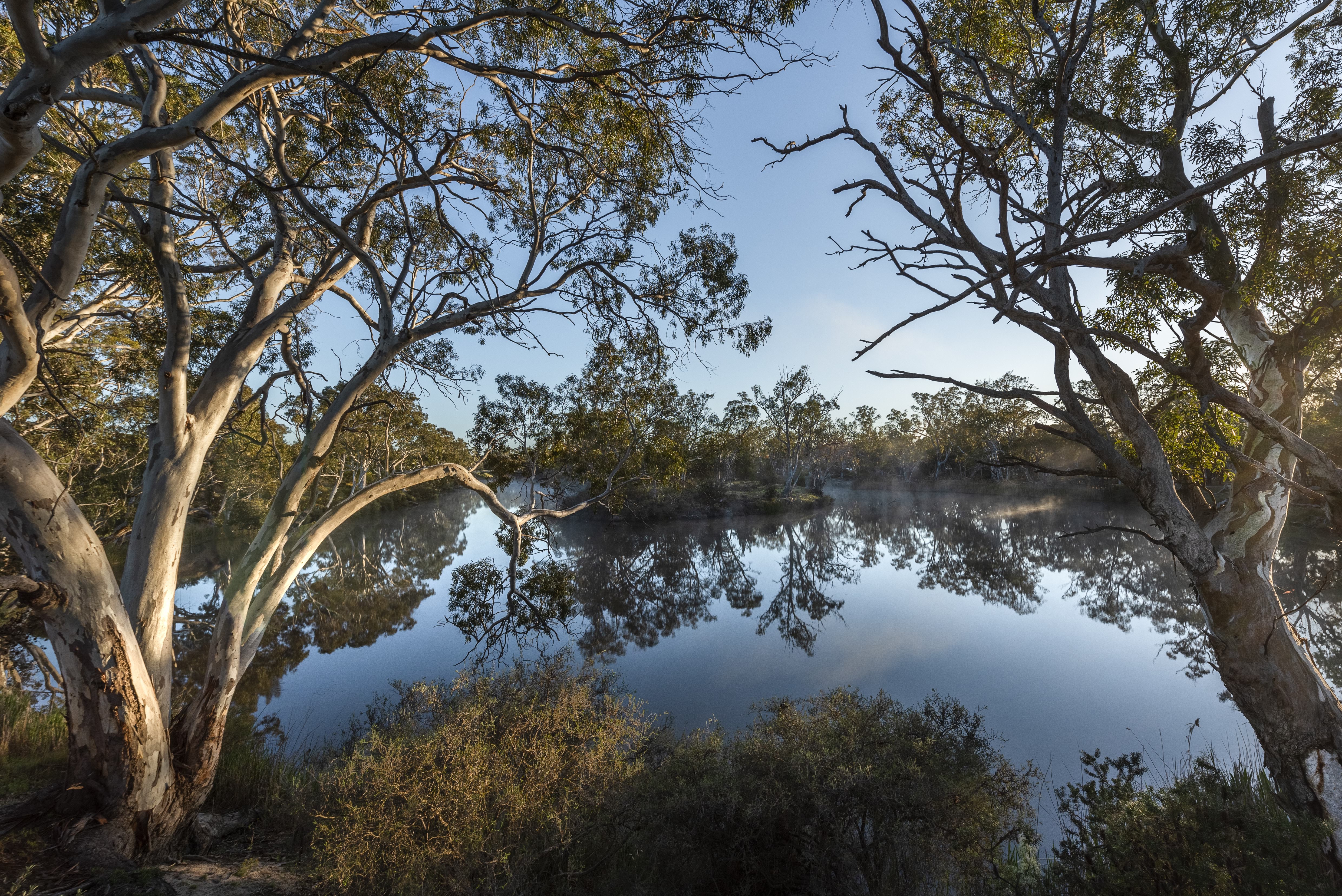 Lake in Little Desert National Park, surrounded by gum trees