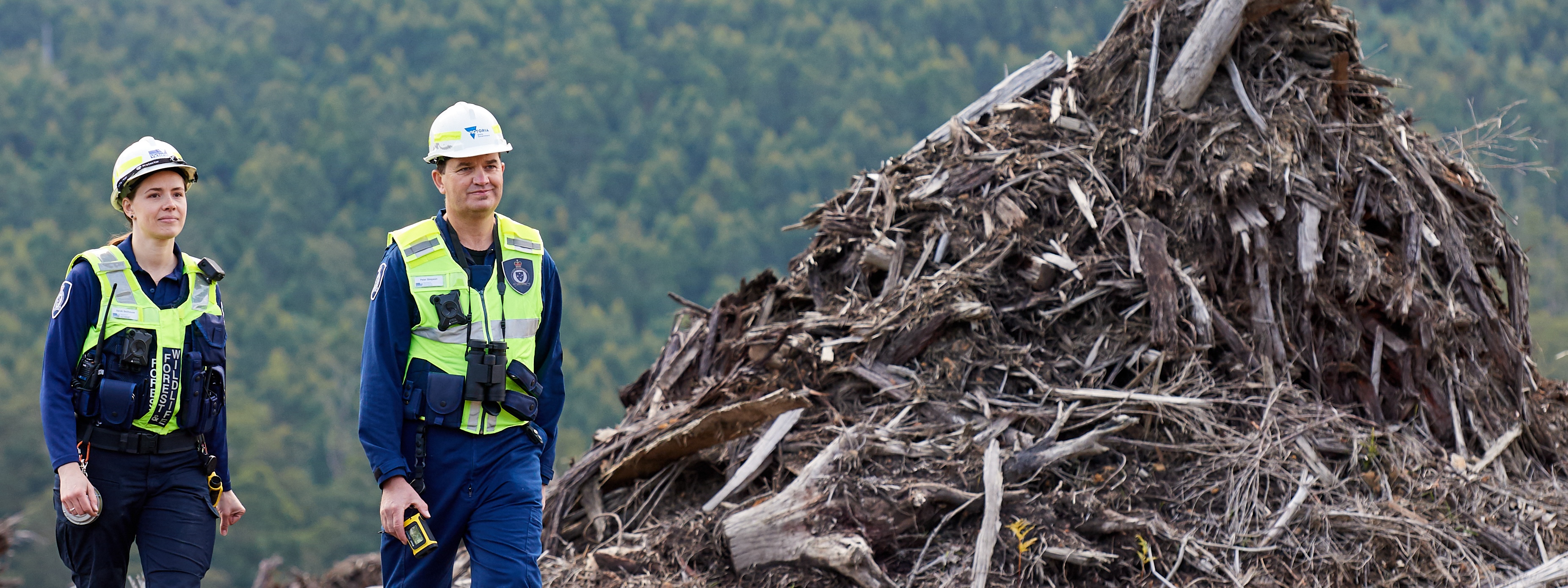 Photo of two Wildlife Officers inspecting a timber harvest