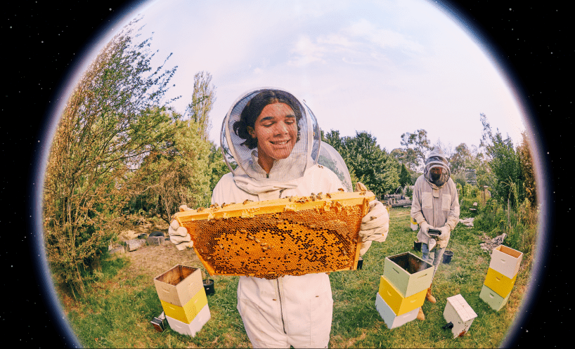 teenager learning to bee keep