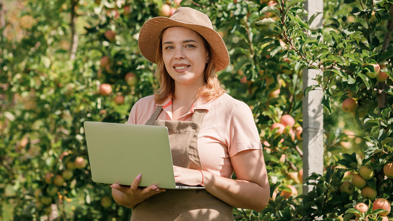 Person holding laptop in fruit orchard