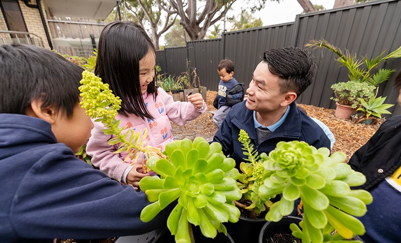 Two children and an early childhood professional looking at plants outdoors.