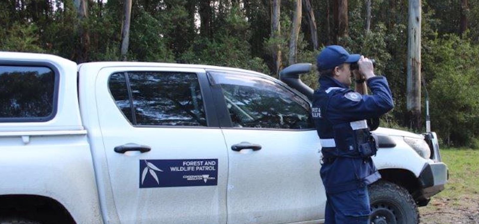 Image of a forest and wildlife officer on patrol