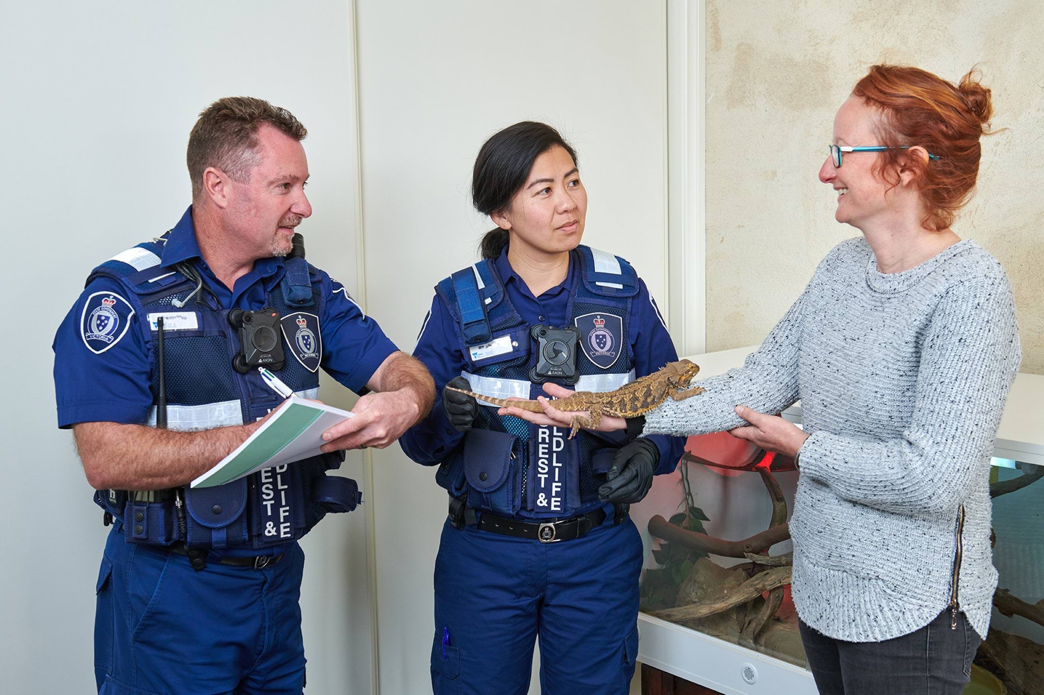 Authorised officers permit inspection of licence holder Two authorised officers inspect permit of wildlife demonstration licence holder holding lizard
