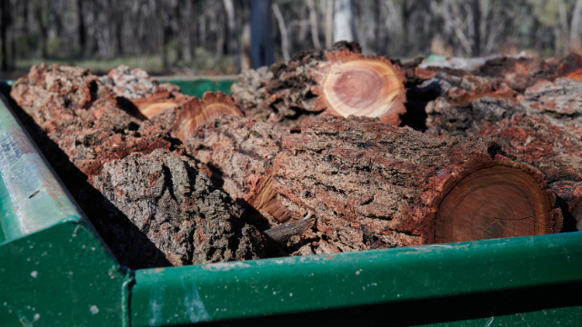 Cut firewood sitting in green trailer