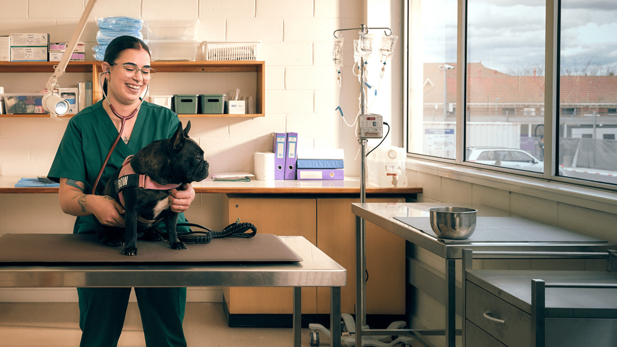 A person in green scrubs wearing a stethoscope holds a black dog on a table in a veterinary clinic setting.
