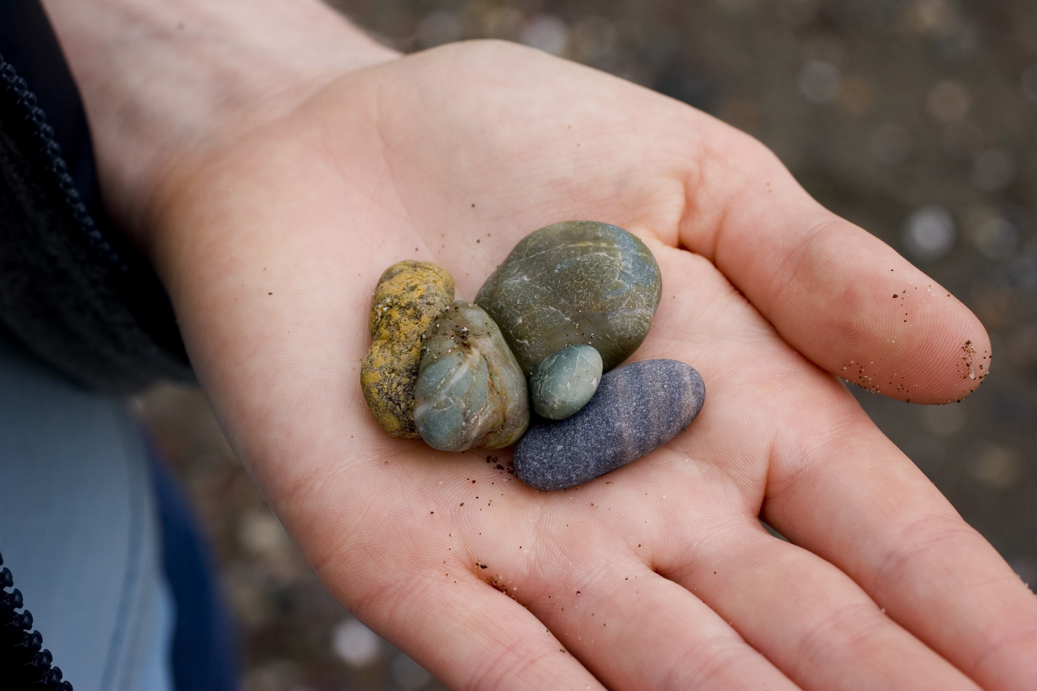 Image of a hand holding five pebbles of varying sizes and colours